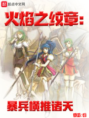 安装成年人专用播放器