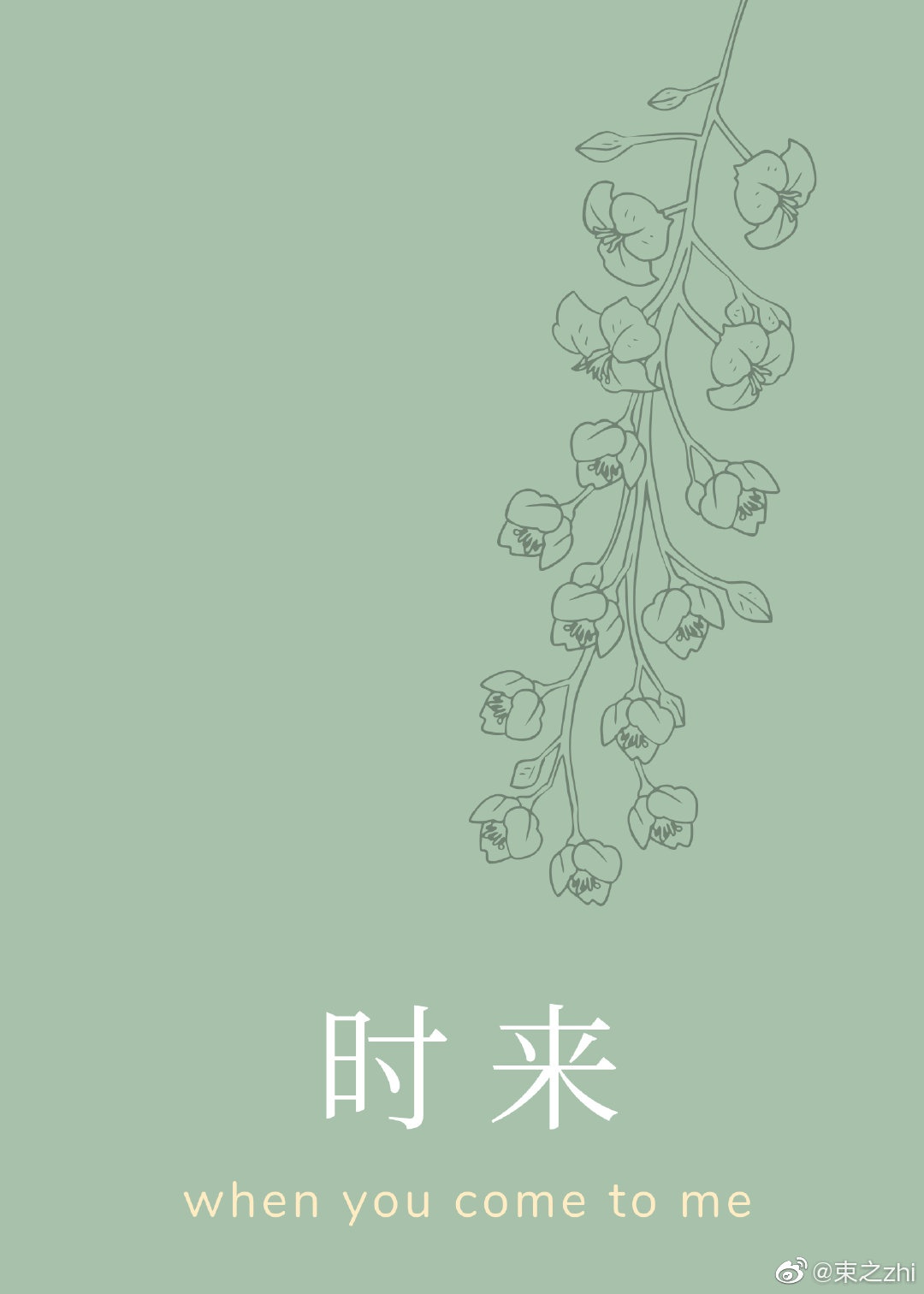 zepto怎么玩