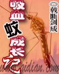试婚老公要给力兔费