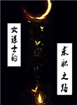 丰满少妇被猛烈进入高清播放八