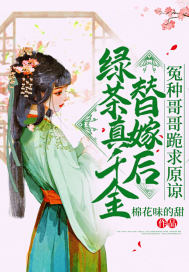 速度与激情1