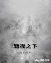 宁愿小说