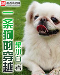 yy4080首播影院苹果影院