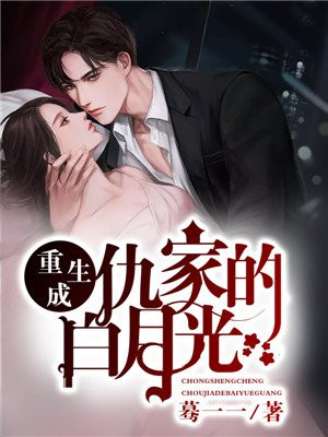 铁道游击队小说