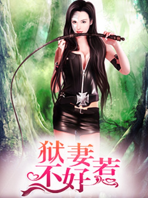 省委班子 小说