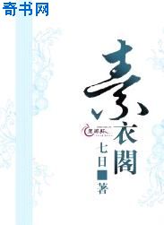 笑傲江湖山洞大战