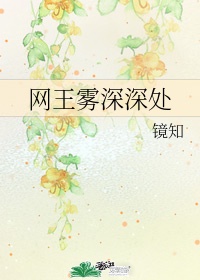 老扒和他三明个星妇