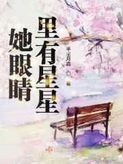 小新肉云分1一27集小说