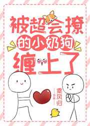 8050网午线观看