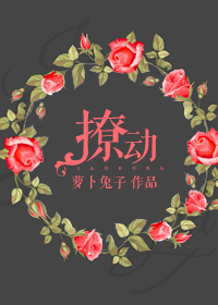 香肠视频cx加密路线