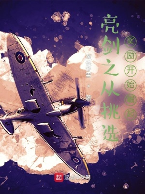 沈清澜贺景承
