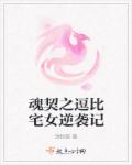 久草视频免费观看