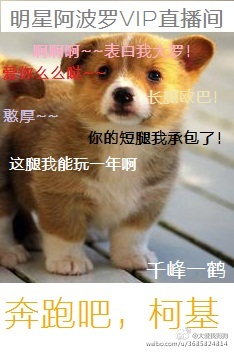 爽啪啪gif动态图第136期