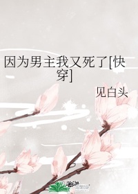 萧轩夏萍无敌神医免费阅读全文