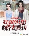 天堂网2024手机版