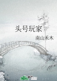 2024新金瓶