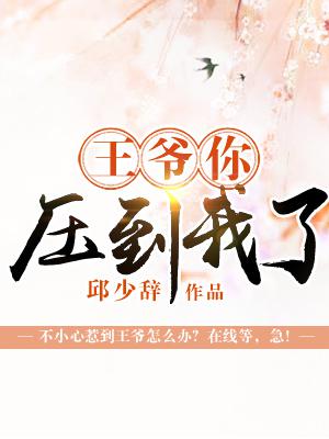 前度电影在线完整版511