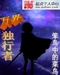 2级片