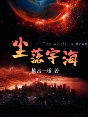 天霁网