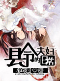 浪荡小马驹