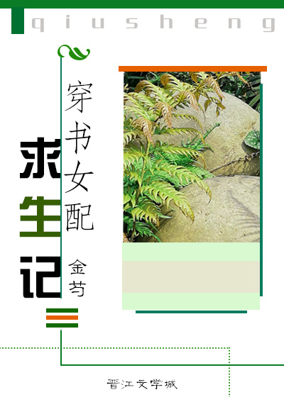 基督教查经资料大全