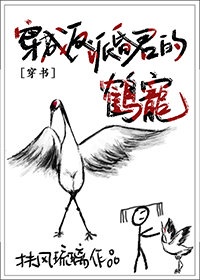 深海迷航极光号