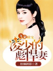 武侠古典小龙女