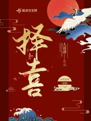 用力插视频