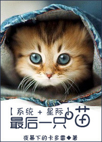 女人们
