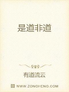我的小姨子电影