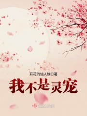 起风了数字简谱