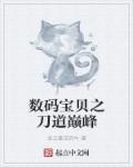 国产精品厕所