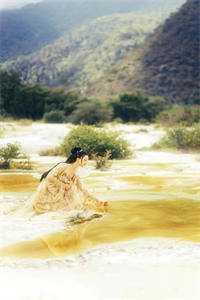 baoyu118