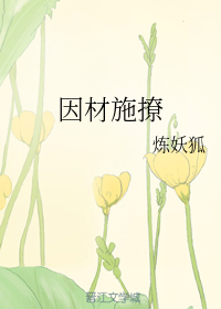 绿衣骑士