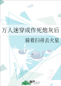 双男主都是车的番剧推荐