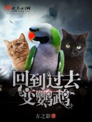 聚会的目的西瓜