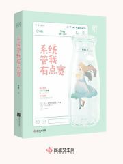 燕云台小说