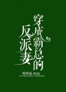 一手宝宝二手妻
