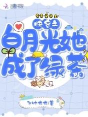 赌石透视眼穷小子
