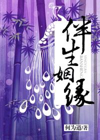 寒门极品公子