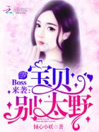 江山如此多娇 小说