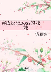 时光之心