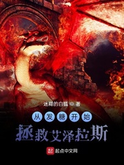 哈利波特h