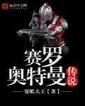 红楼梦龙阳版