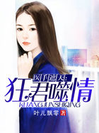 《工作女郎》完整版