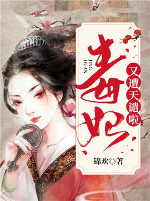 紫苏中文网在线阅读