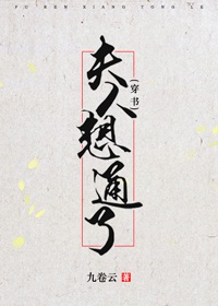 张雅丹小说