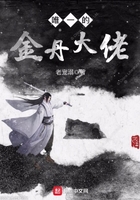 我的老婆是大佬4
