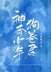 韩日高清