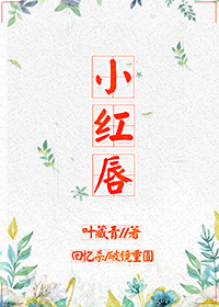 离婚律师恋爱中